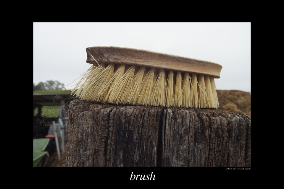 Brush - ID 000117