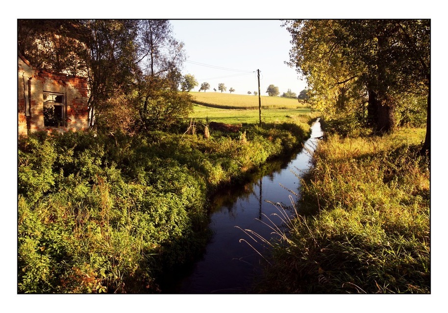 Course of a Stream - ID 000123