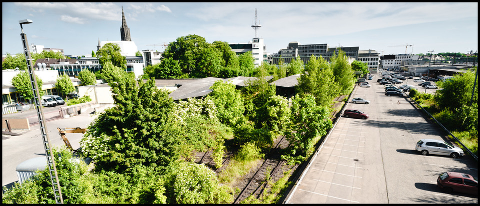 Return of Nature - ID 000247