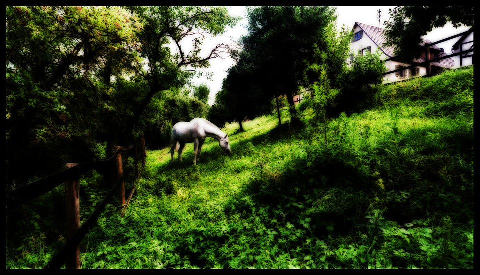 Paradise - ID 000335