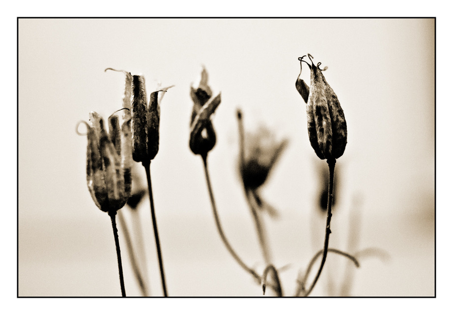 Standing - ID 000344