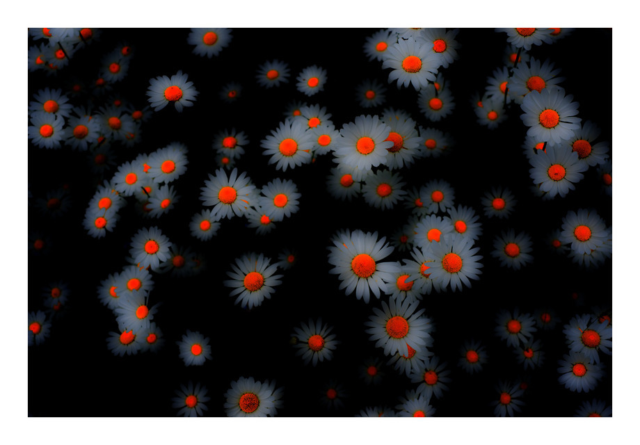 Solar Systems - ID 000360