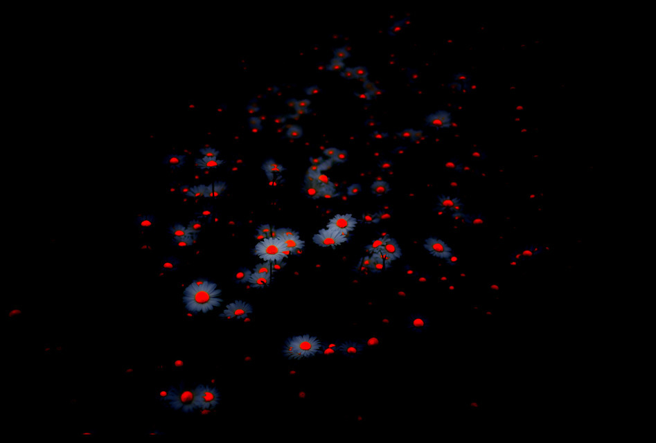 Star Field - ID 000361