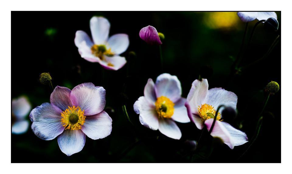 End of Summer - ID 000393