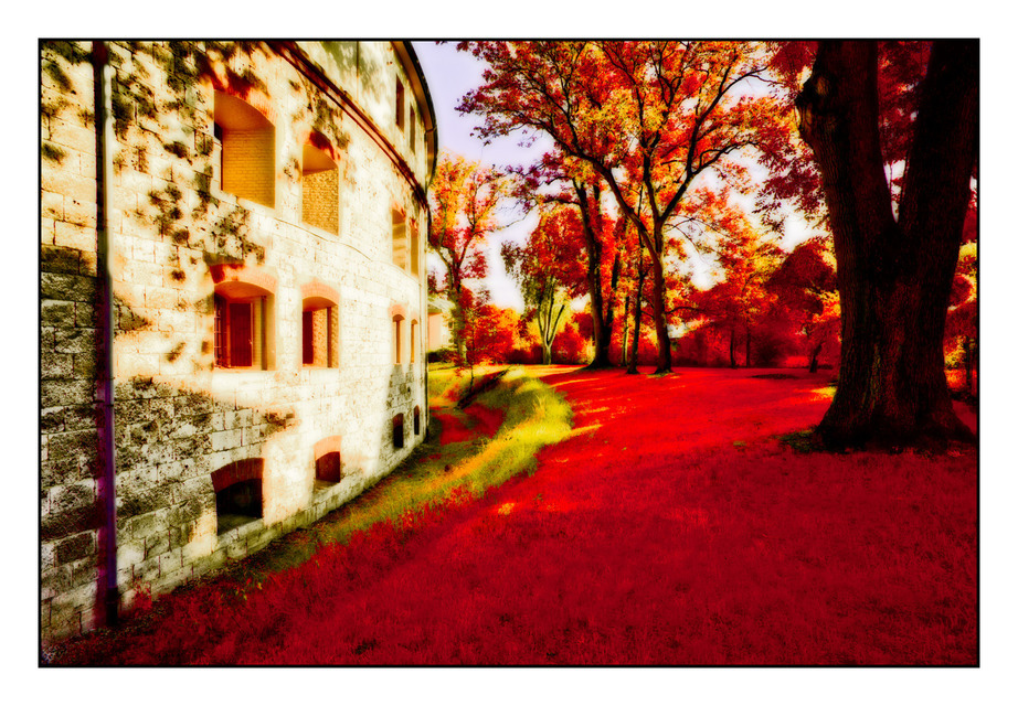 Red Green - ID 000416