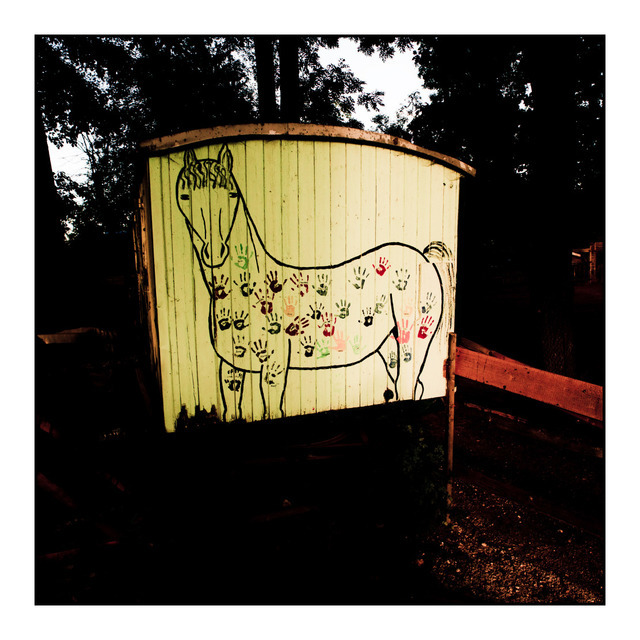 Touched Horse - ID 000422