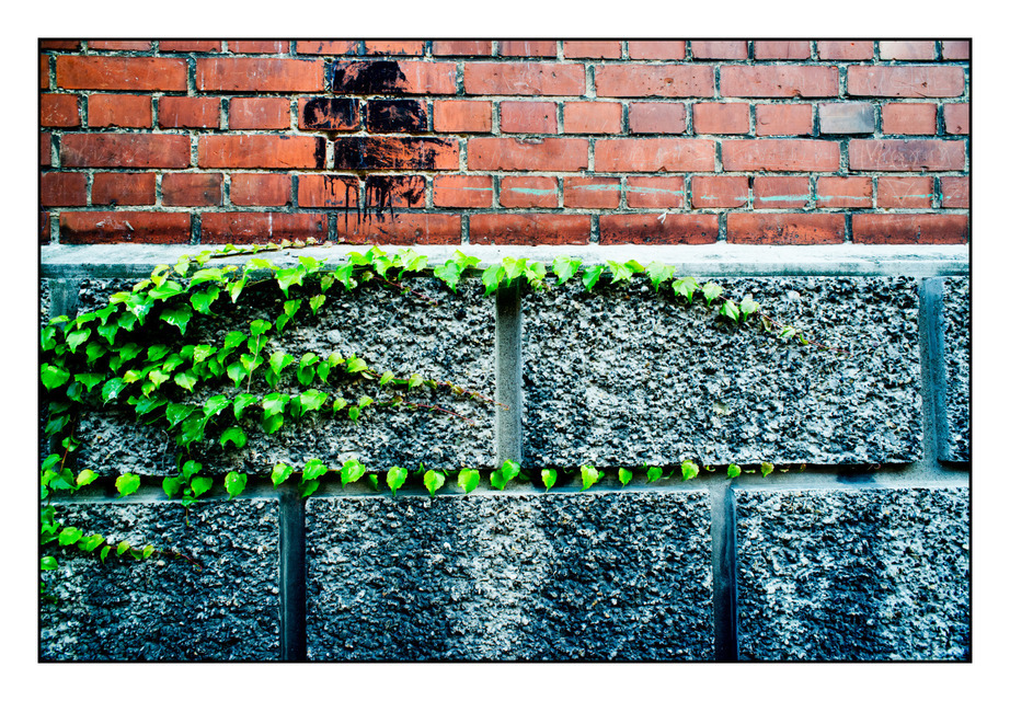 Wall Occcupy II - ID 000425