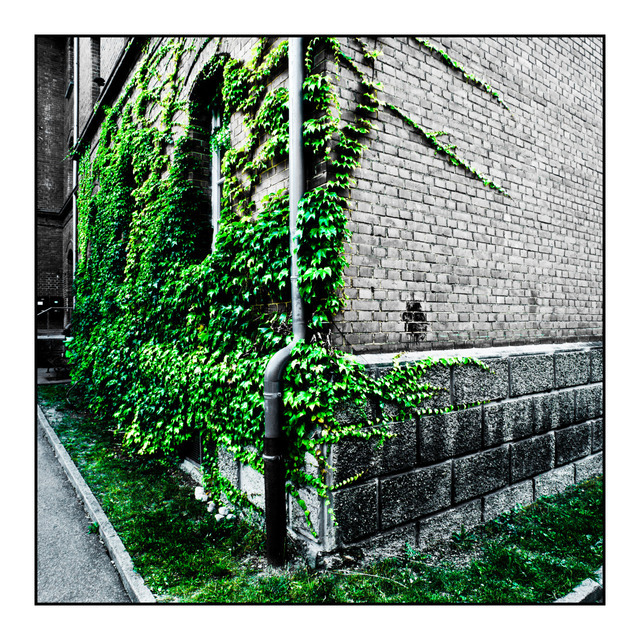 Wall Occupy III - ID 000426