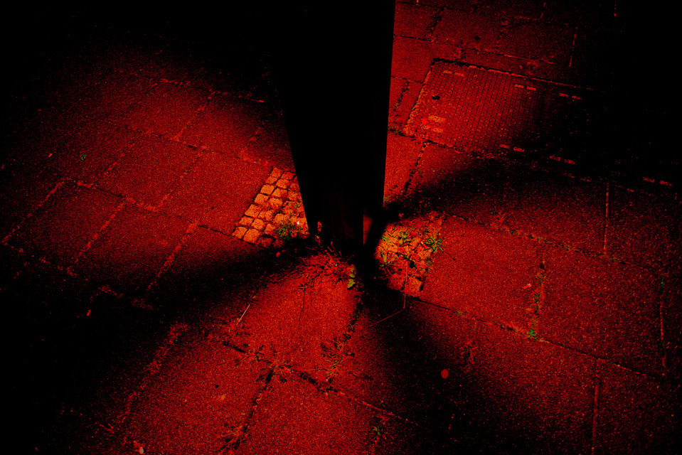 Red Cross - ID 000501