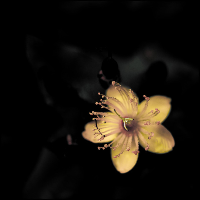 I am here - ID 000596