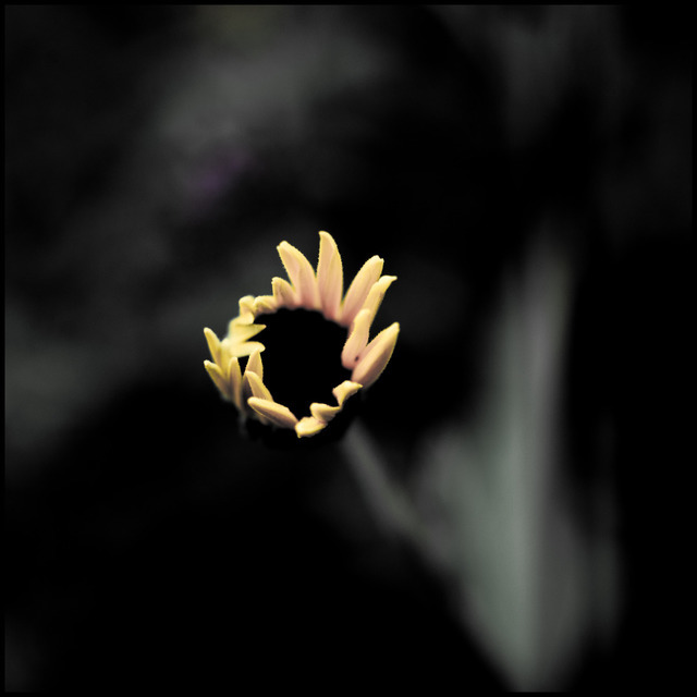 My Time Will Come - ID 000598