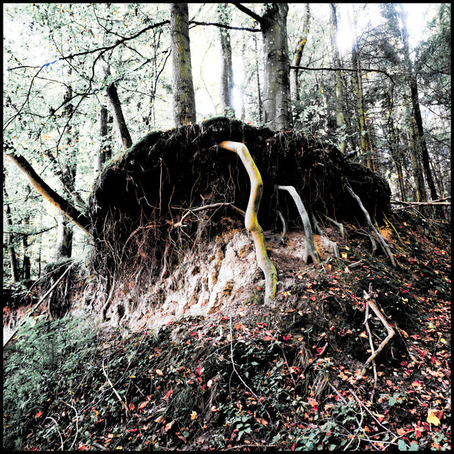 Strong Arm - ID 000601