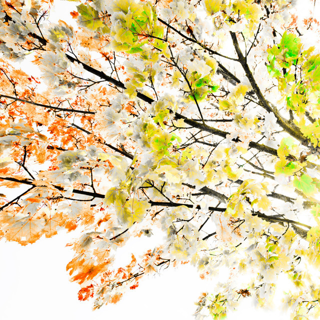 Autumn IV - ID 000611