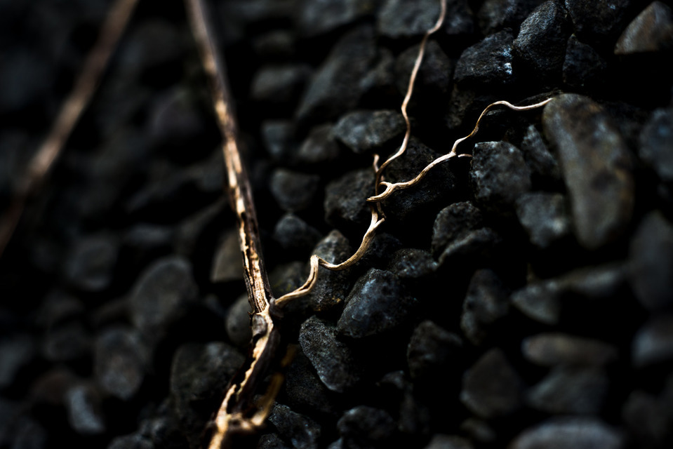 On The Wall I - ID 000641