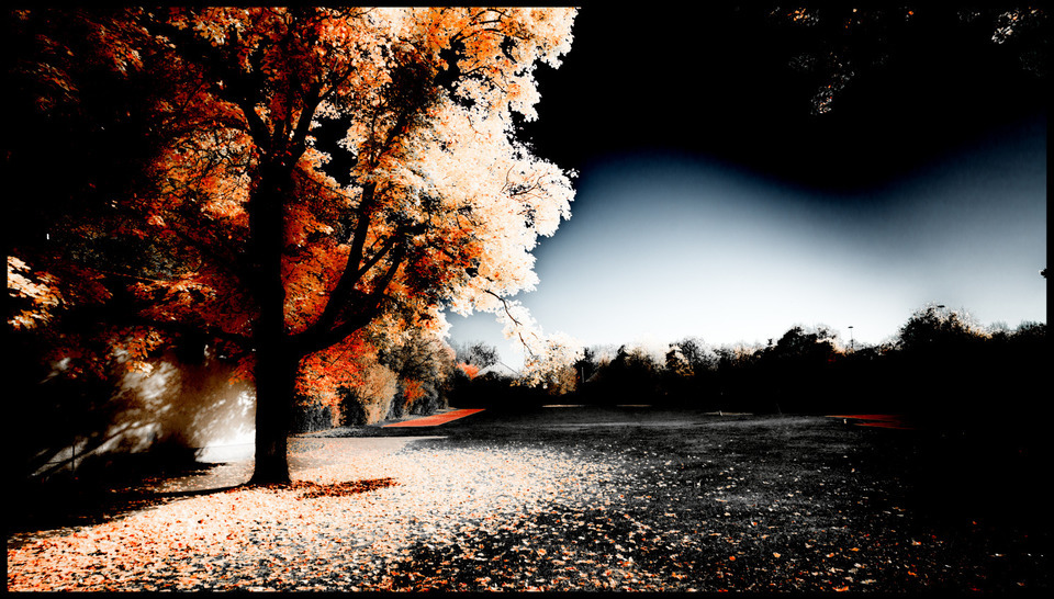 At the Play Ground - ID 000653