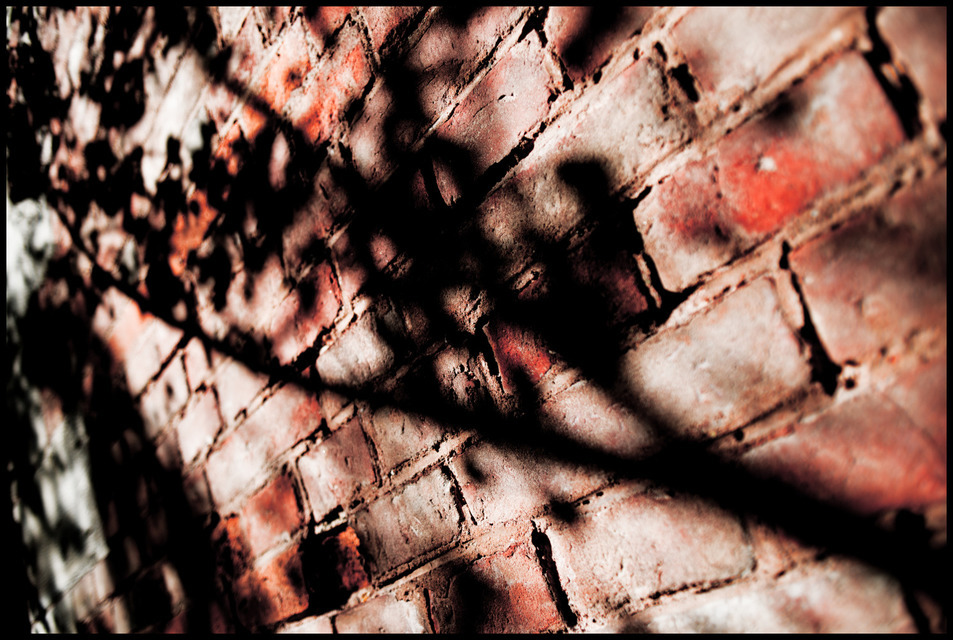 Automn on the Wall - ID 000665