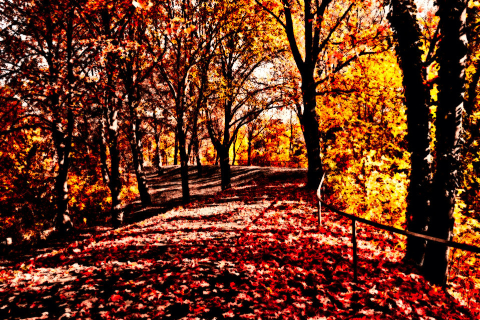 Red Autumn - ID 000670