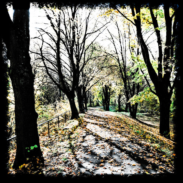 Wedding Lane I - ID 000672