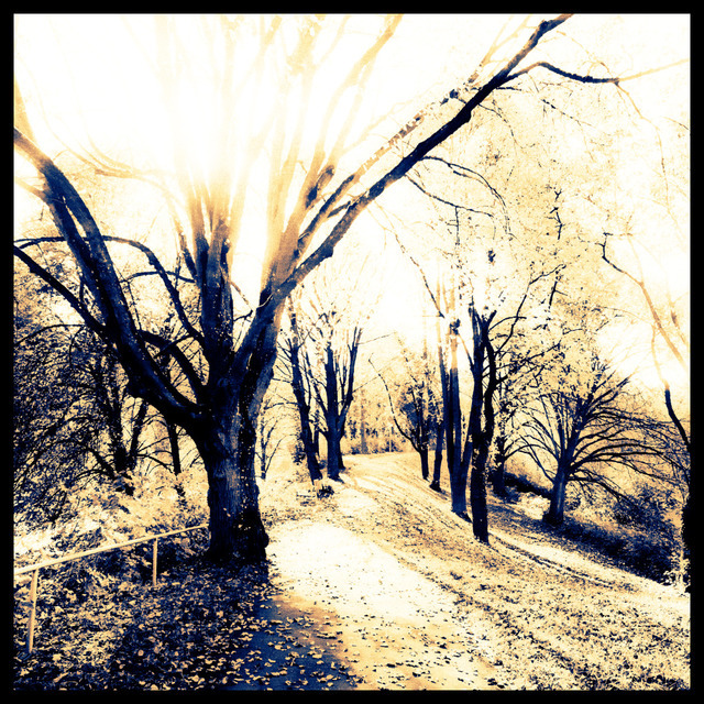 Against the Sun - ID 000676