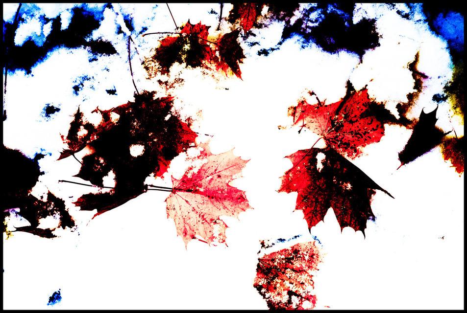 First Snow I - ID 000684