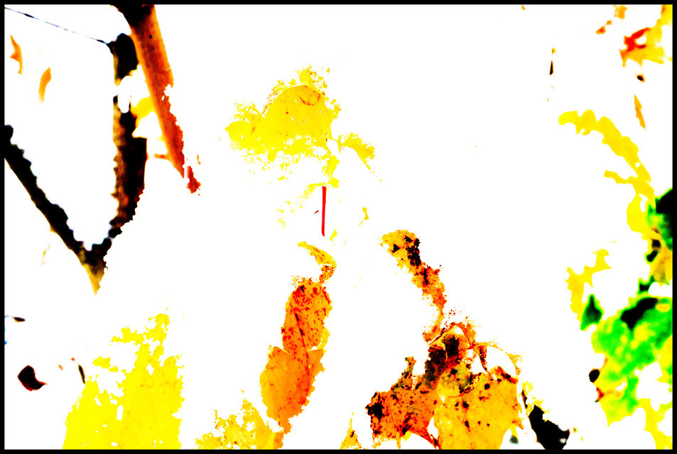 First Snow II - ID 000685