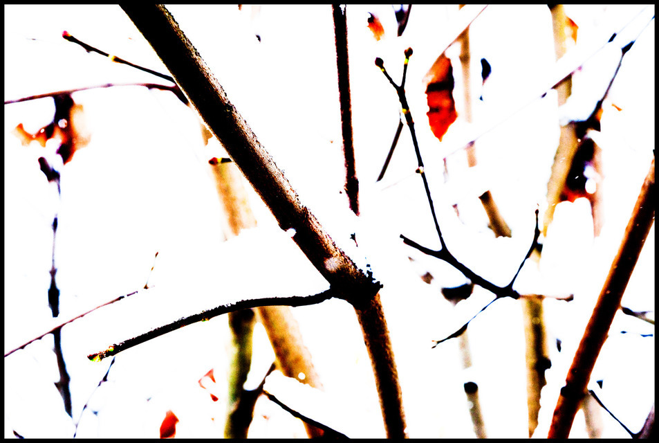 First Snow V - ID 000688