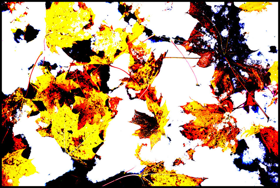 First Snow VI - ID 000689