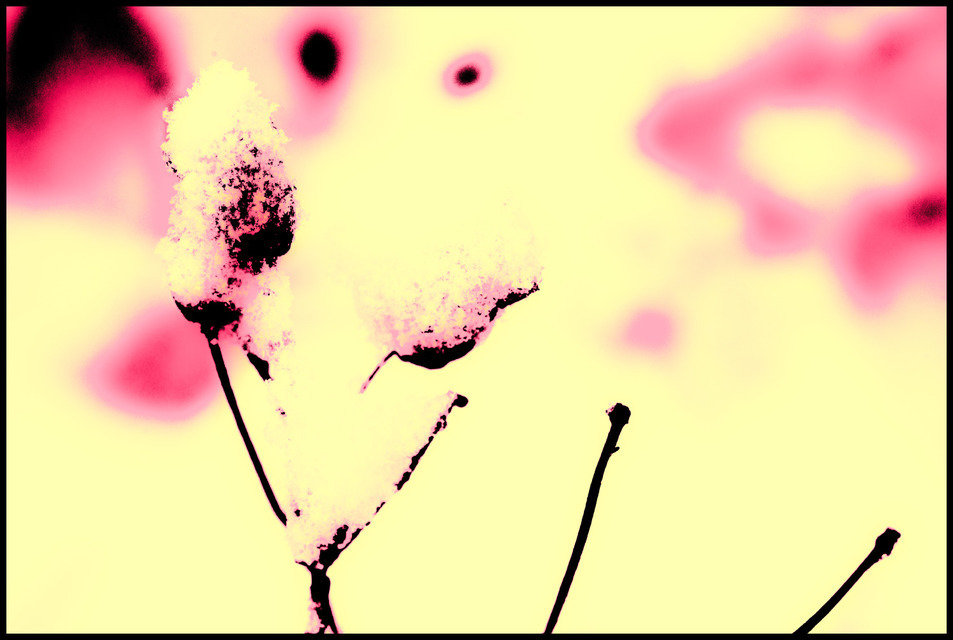 Abstract - ID 000693