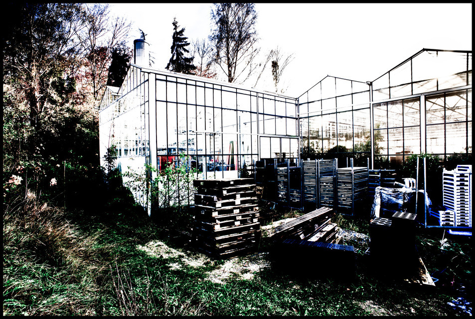 Glass Palace II - ID 000695