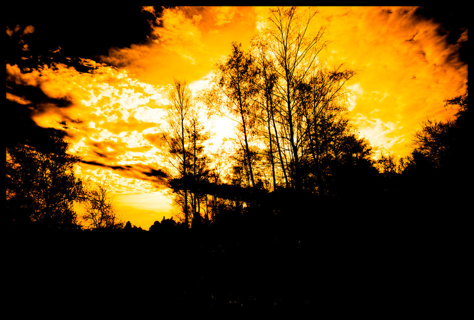 Sky Fire - ID 000706