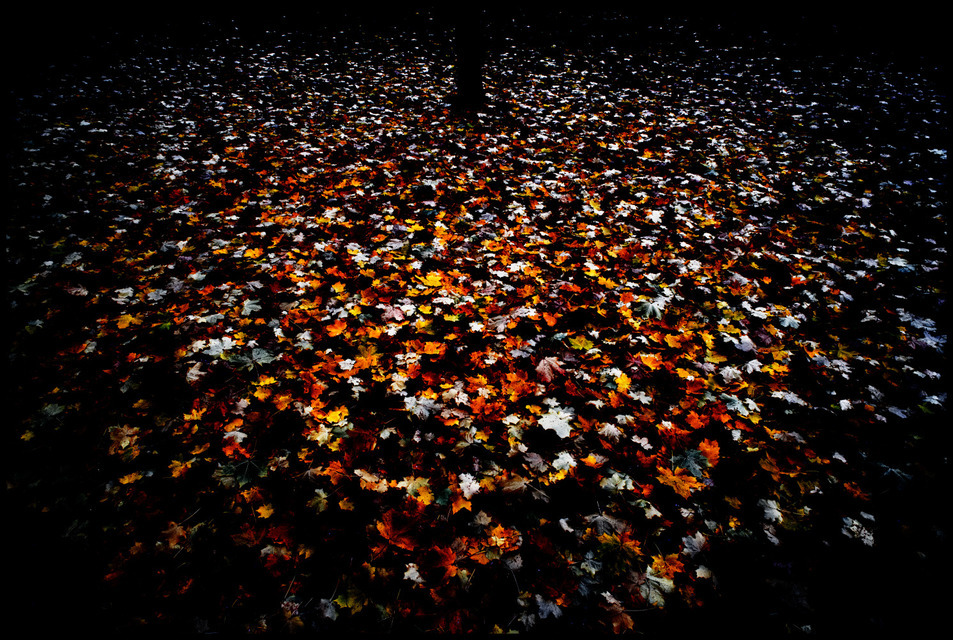 Breaking Night - ID 000736