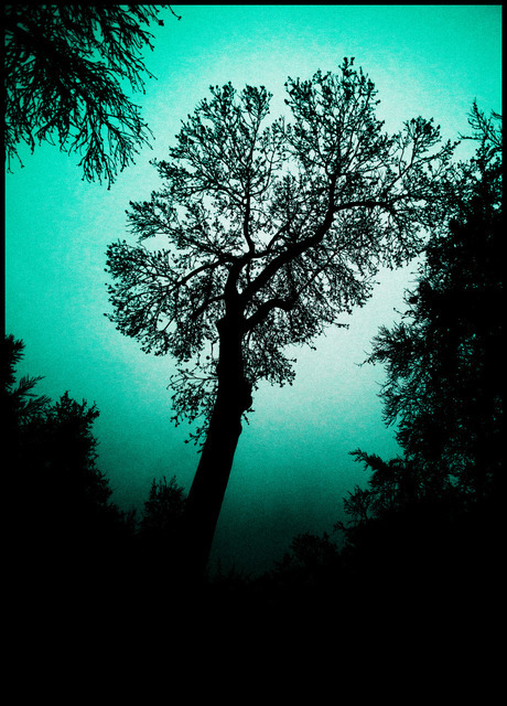 Surrounded - ID 000738