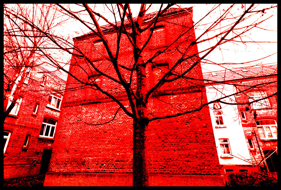 Tree in front of Wall - ID 000742