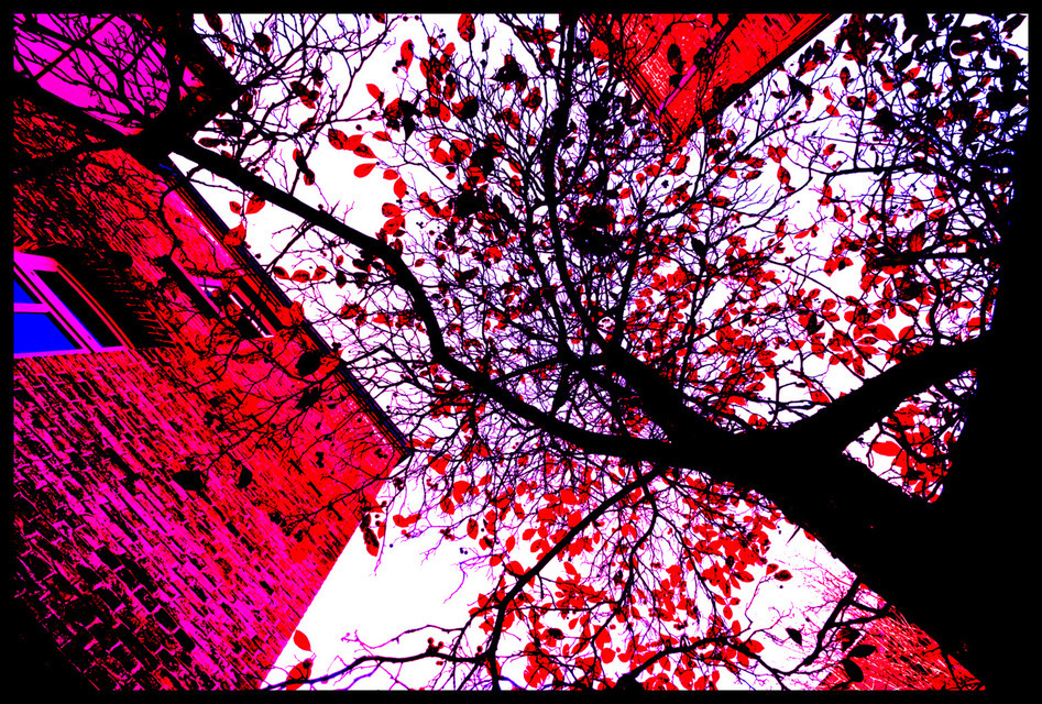 Between Red Walls IV - ID 000746