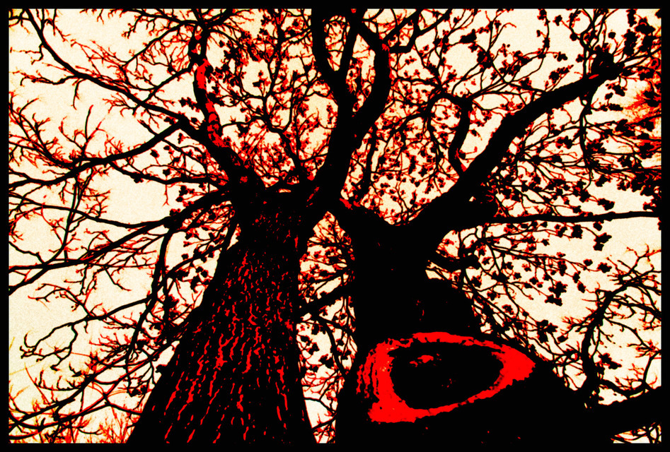 Red Tree - ID 000753