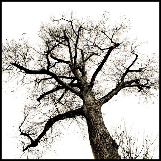 All my Arms - ID 000760