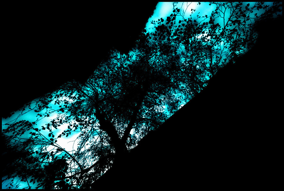 Curved Sky - ID 000768