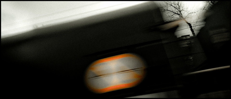 Tree Between - ID 000779