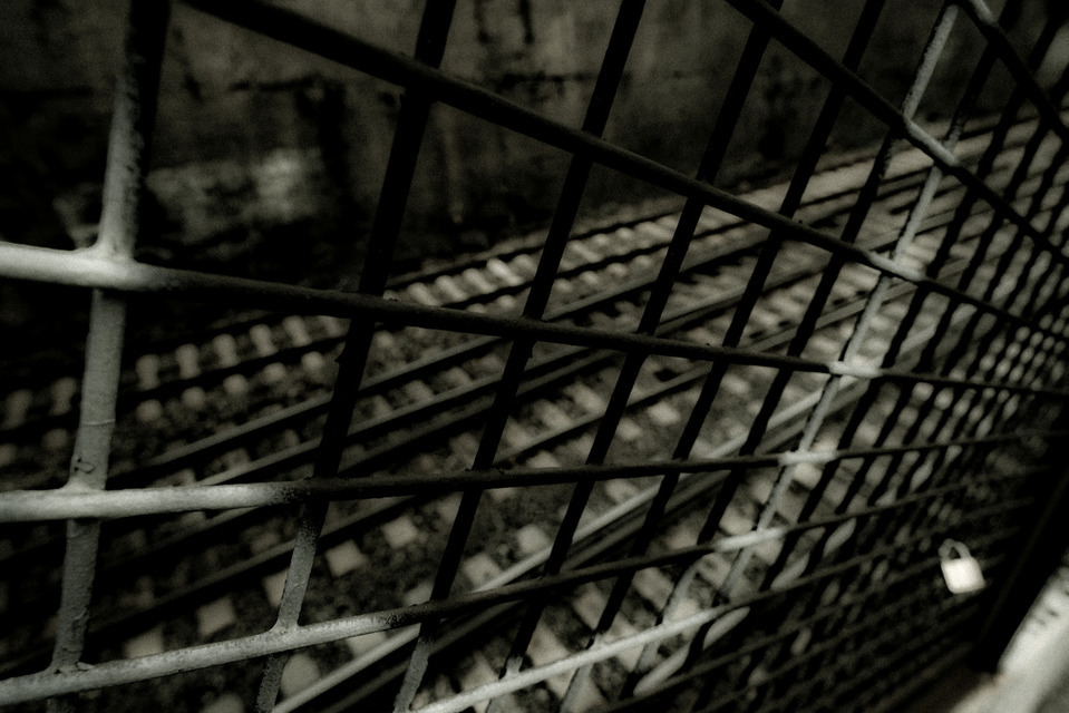 Fence with Lock - ID 000784