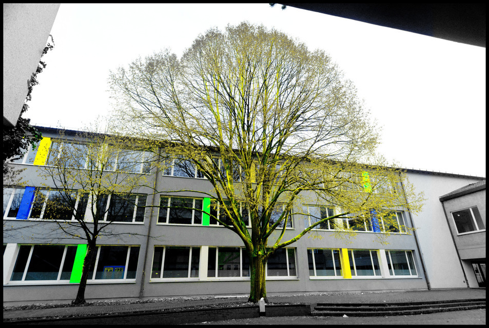 Yellow Tree - ID 000796