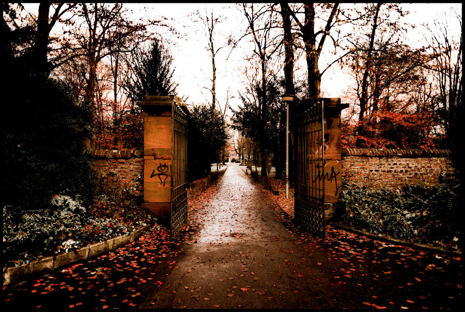 Entrance - ID 000797