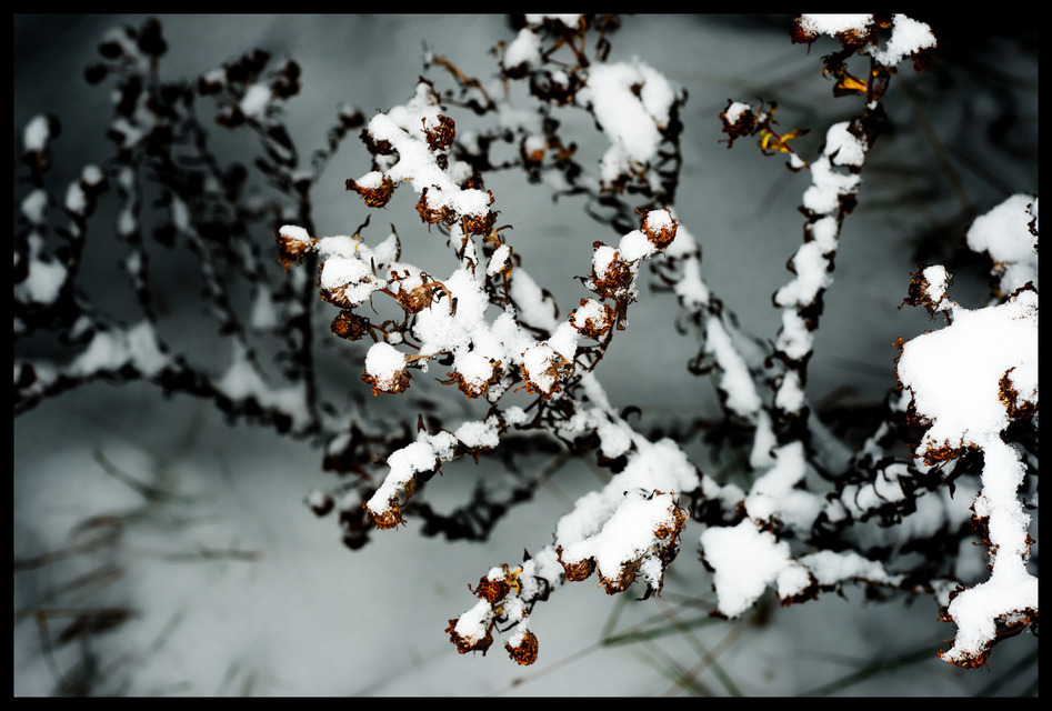 White Load - ID 000802