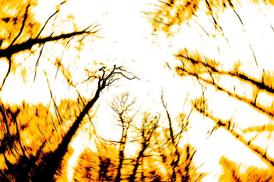 The Skyview - ID 000811