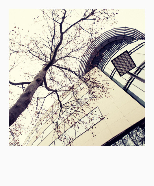 Tree Lamp Building - ID 000829