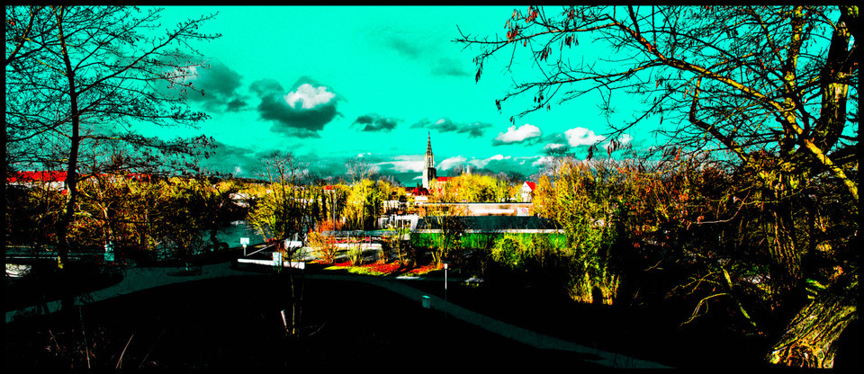 Wrong Color - ID 000856