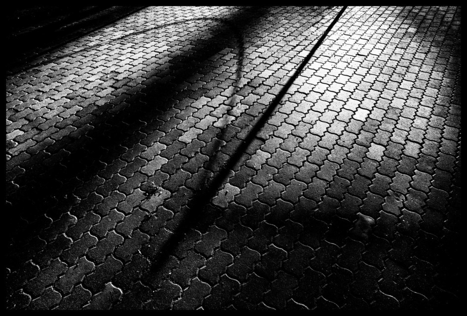 Shadow of Chains - ID 000857