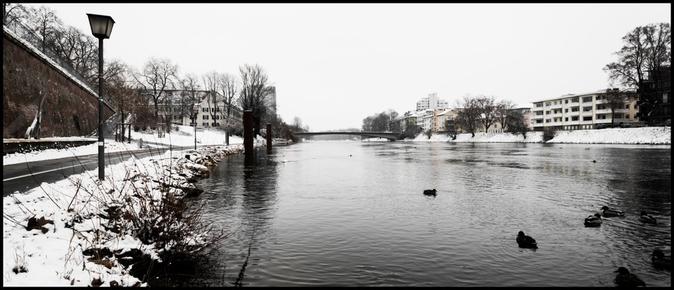 Winter at Danube - ID 000915