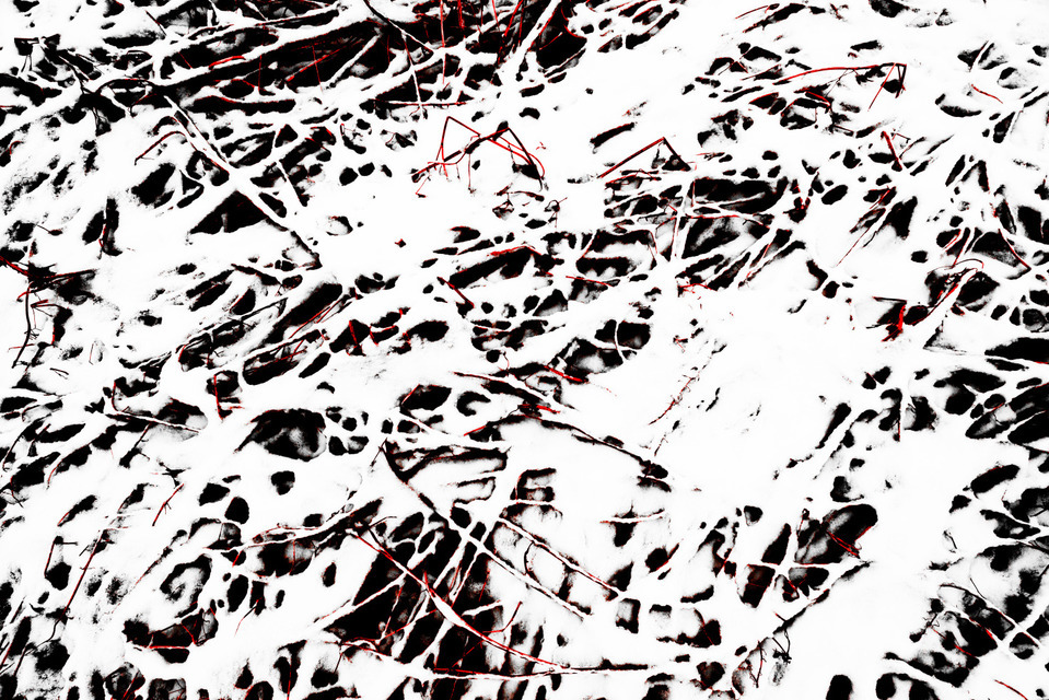 Red Field II - ID 000933