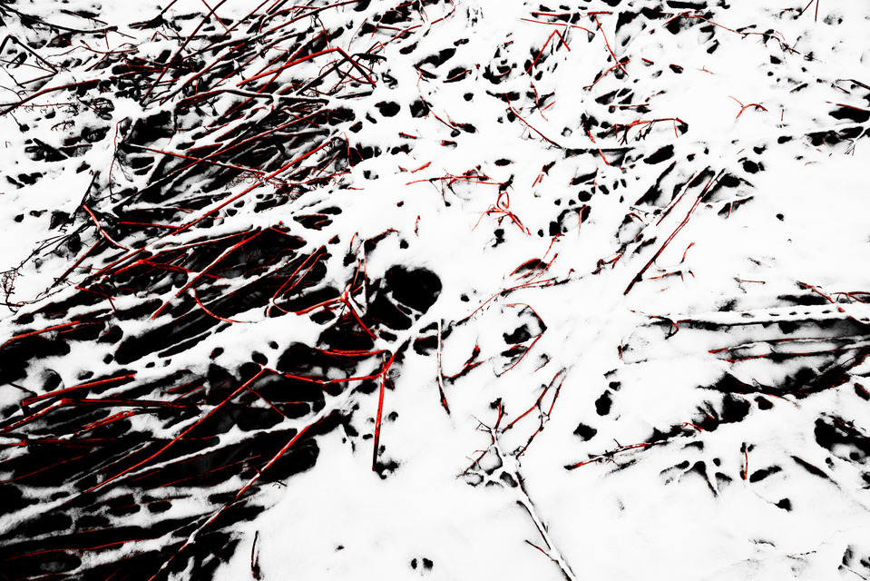 Red Field IV - ID 000935