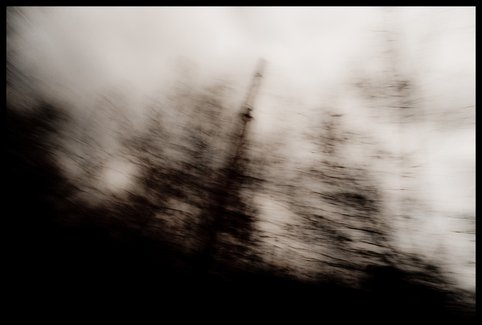 Smokestack behind Trees II - ID 000999